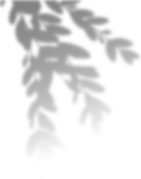 Overlay Shadow